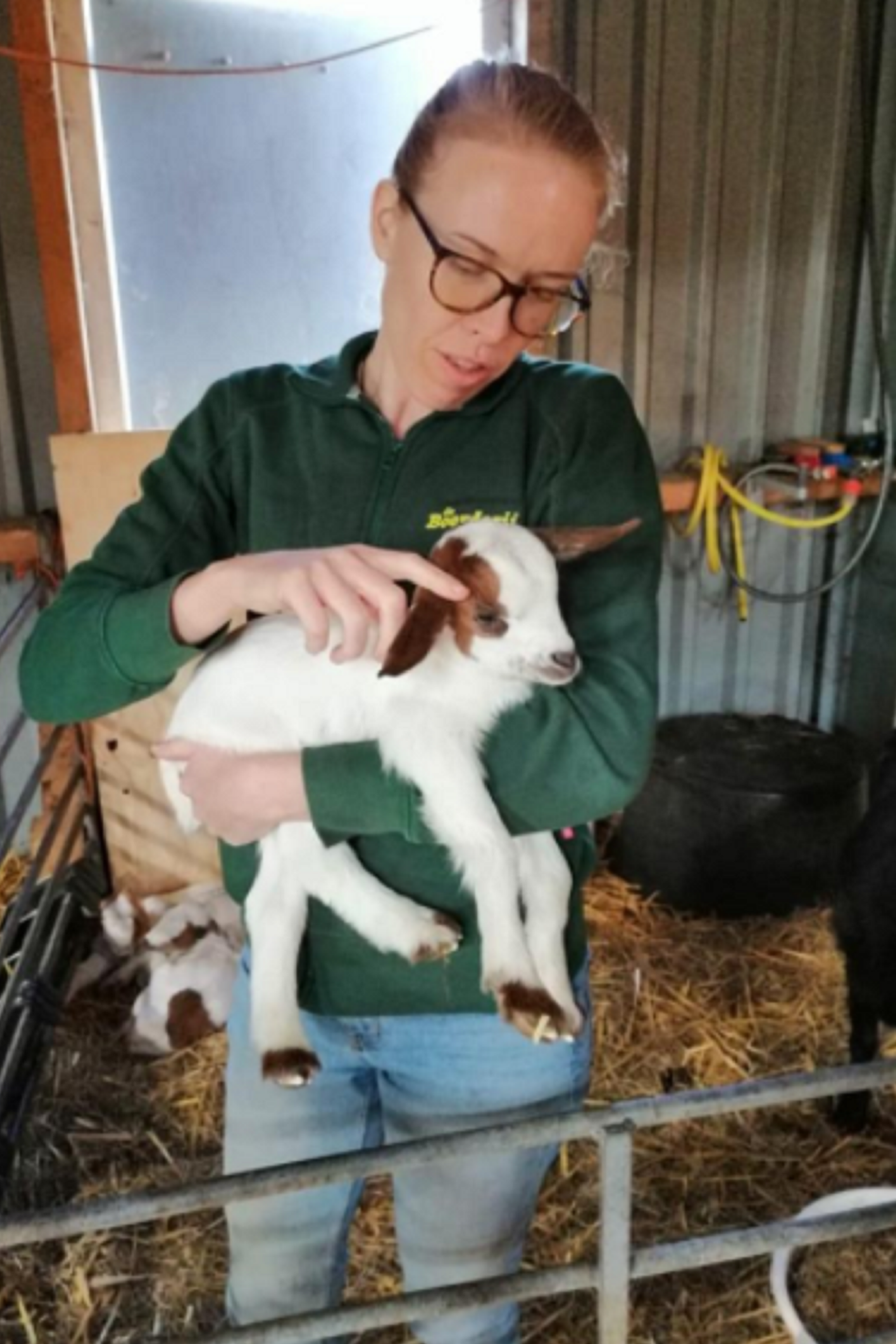 kinderopvang boerderij